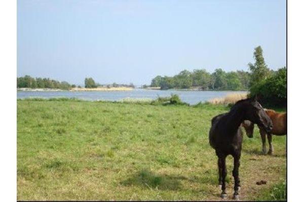 By The Baltic Sea, 2 Bedrooms كارلسكرونا المظهر الخارجي الصورة